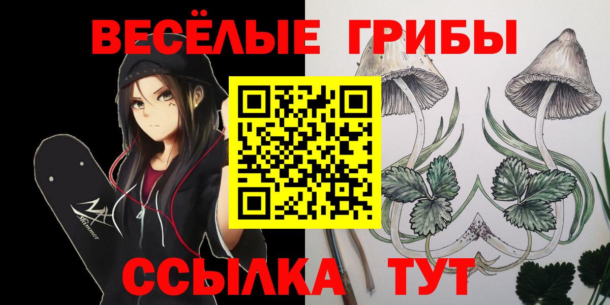 Галлюциногенные грибы Psilocybe Когалым